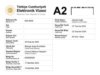 Get Turkey e-Visa
