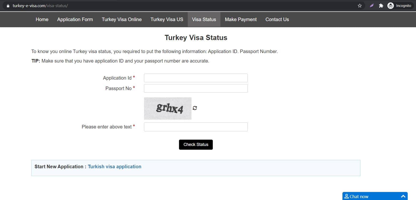 check online turkey visa status